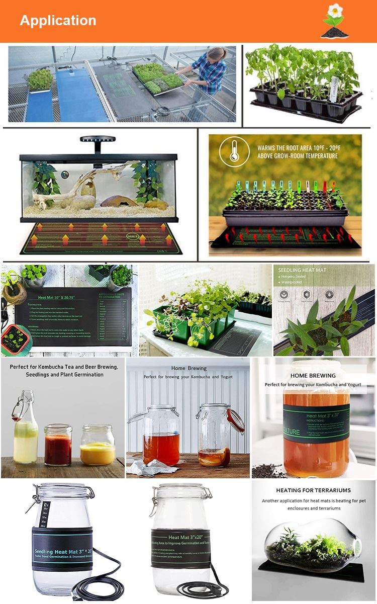 Application