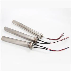 PTC 浸入式加热器